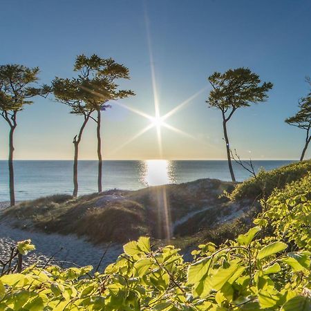 Fewo "Prerow" Exteriör bild